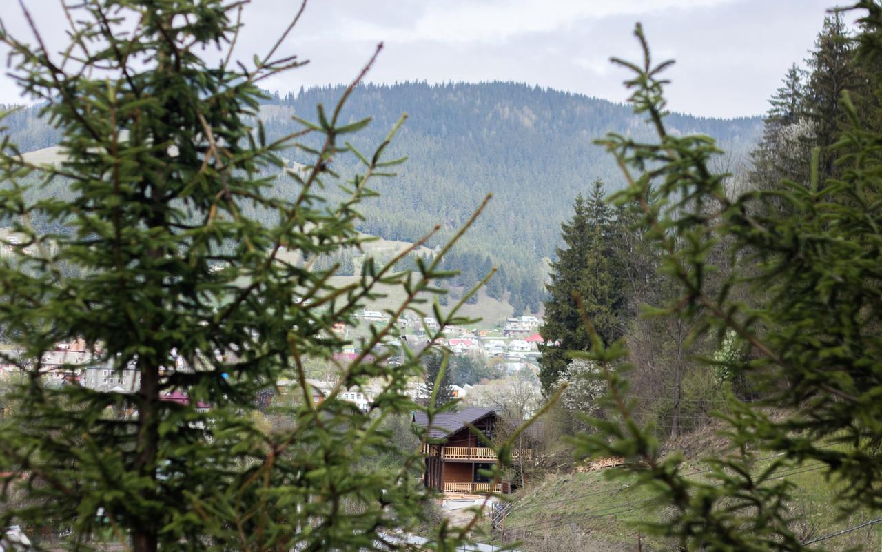 Villa Karpatska Oselia Verkhovyna Esterno foto