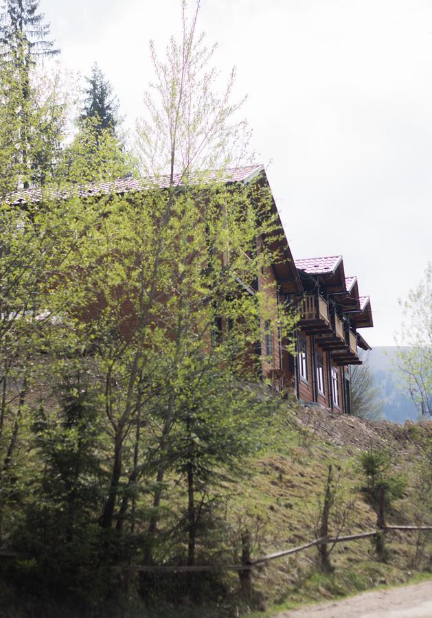 Villa Karpatska Oselia Verkhovyna Esterno foto