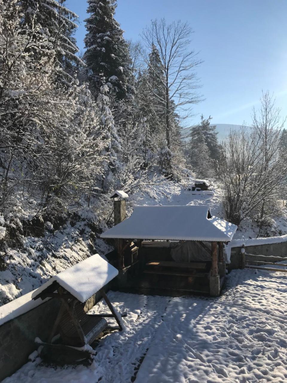Villa Karpatska Oselia Verkhovyna Esterno foto