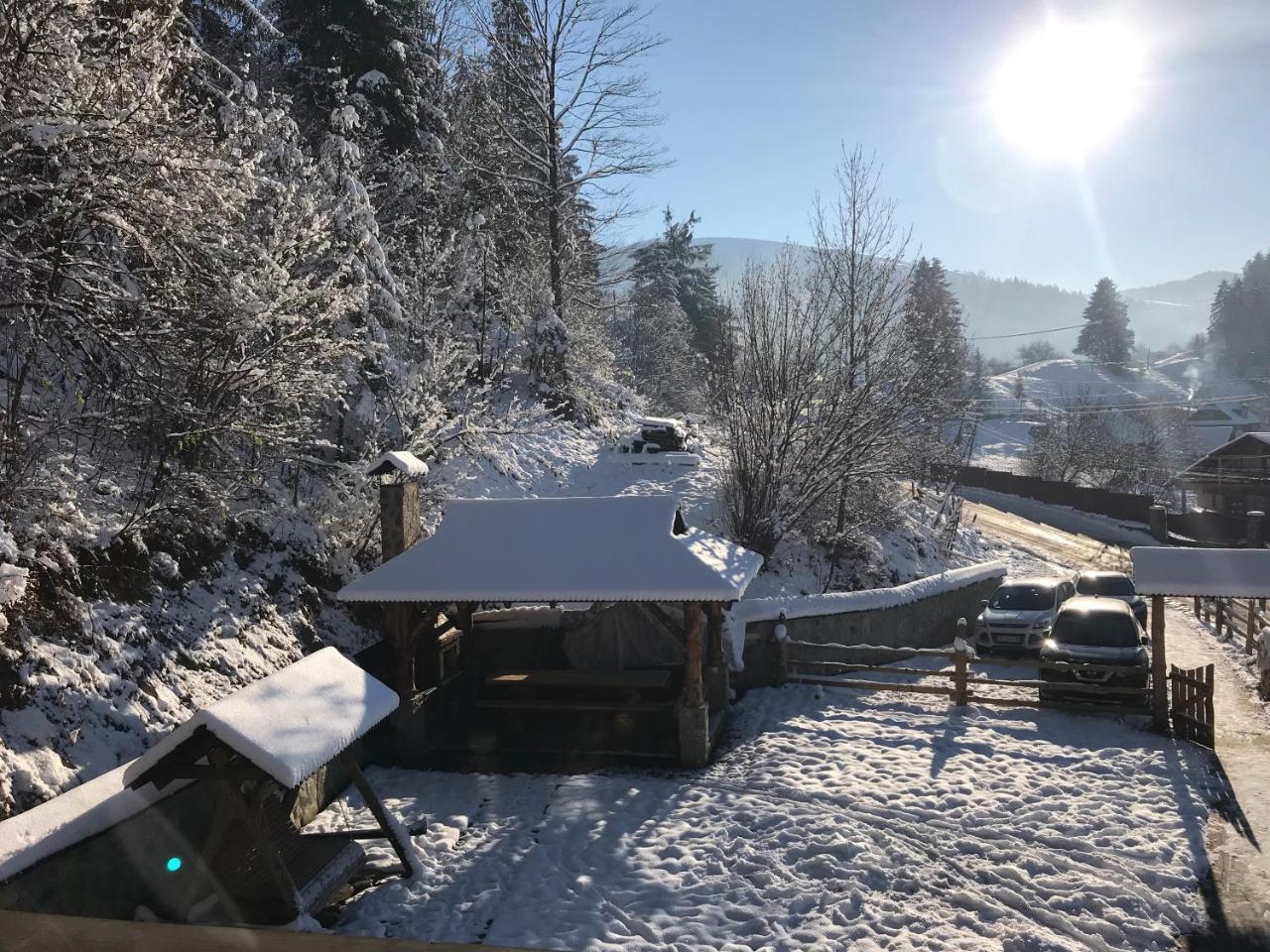 Villa Karpatska Oselia Verkhovyna Esterno foto